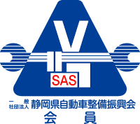 ｾｲﾋﾞｼﾝｺｳｶｲ